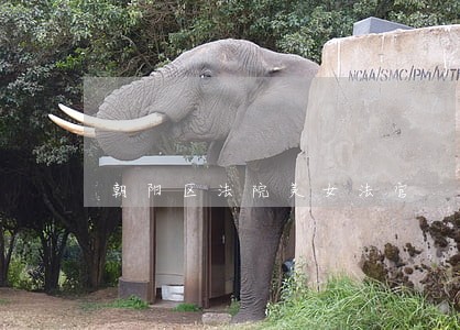 朝阳区法院美女法官