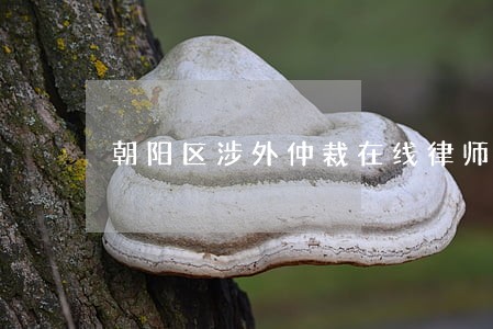 朝阳区涉外仲裁在线律师咨询 朝阳区涉外仲裁在线律师咨询