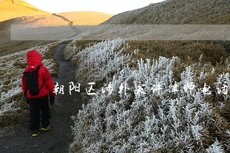 朝阳区涉外案件律师电话