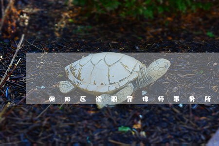 朝阳区渎职罪律师事务所 朝阳区渎职罪律师事务所