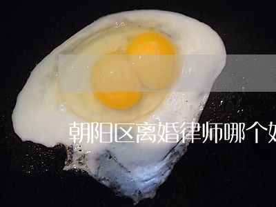 朝阳区离婚律师哪个好