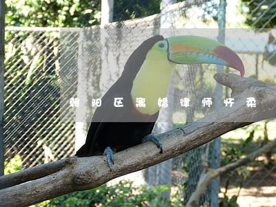 朝阳区离婚律师怀柔 朝阳区离婚律师怀柔