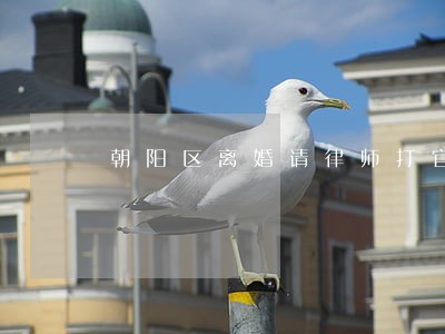朝阳区离婚请律师打官司 朝阳区离婚请律师打官司