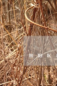 朝阳区私募股权律师 朝阳区私募股权律师