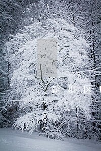 朝阳区股权纠纷律师找谁一审二审 朝阳区股权纠纷律师找谁一审二审
