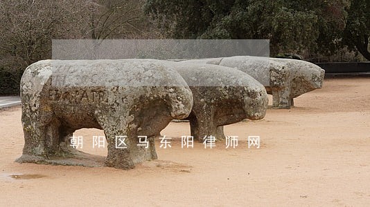 朝阳区马东阳律师网 朝阳区马东阳律师网