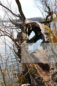 朝阳厉害的房产纠纷律师 朝阳厉害的房产纠纷律师