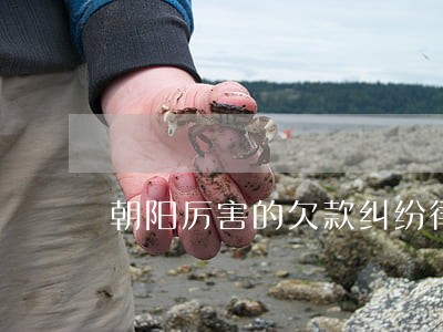 朝阳厉害的欠款纠纷律师 朝阳厉害的欠款纠纷律师