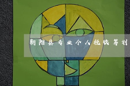 朝阳县专业个人税收筹划律师 朝阳县专业个人税收筹划律师