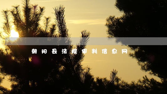 朝阳县法院审判信息网 朝阳县法院审判信息网