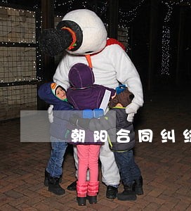 朝阳合同纠纷律师咨询 朝阳合同纠纷律师咨询