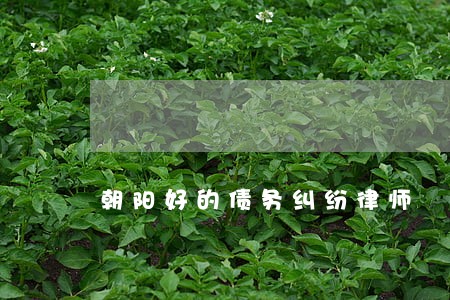朝阳好的债务纠纷律师 朝阳好的债务纠纷律师