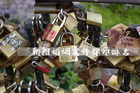 朝阳婚姻案件律师排名 朝阳婚姻案件律师排名
