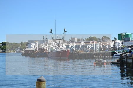 朝阳婚姻财产纠纷律师 朝阳婚姻财产纠纷律师