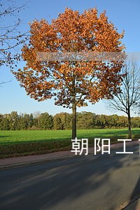 朝阳工商逾期年报 朝阳工商逾期年报