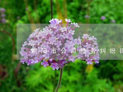 朝阳市公司债务纠纷律师在线解答 朝阳市公司债务纠纷律师在线解答