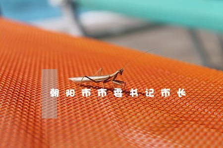 朝阳市市委书记市长 朝阳市市委书记市长