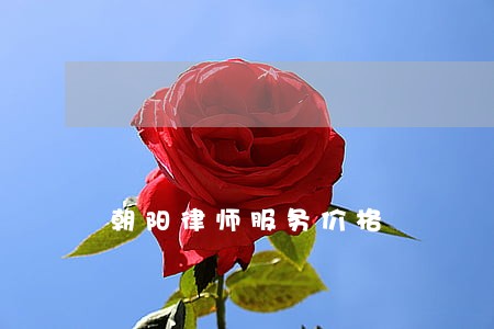 朝阳律师服务价格 朝阳律师服务价格
