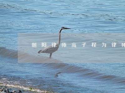 朝阳律师高子程为律师业税收 朝阳律师高子程为律师业税收