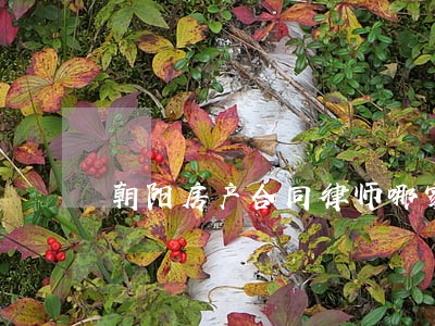 朝阳房产合同律师哪家好 朝阳房产合同律师哪家好