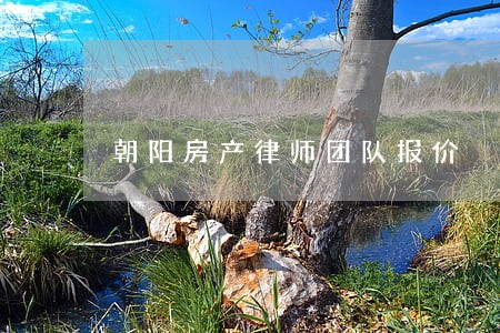 朝阳房产律师团队报价 朝阳房产律师团队报价
