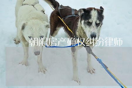 朝阳房产确权纠纷律师 朝阳房产确权纠纷律师