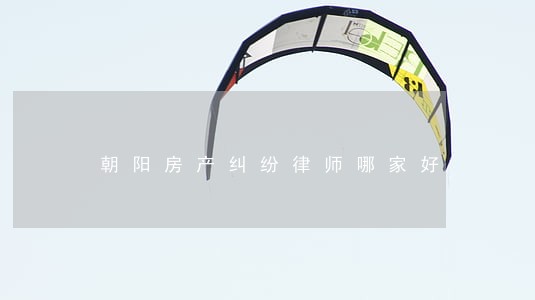 朝阳房产纠纷律师哪家好 朝阳房产纠纷律师哪家好