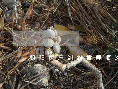 朝阳房产纠纷律师顺义 朝阳房产纠纷律师顺义