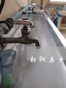 朝阳房产遗产分配律师 朝阳房产遗产分配律师