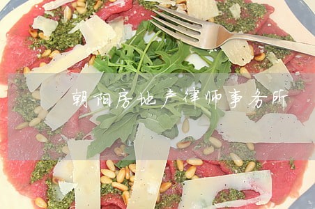 朝阳房地产律师事务所 朝阳房地产律师事务所