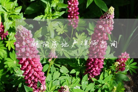 朝阳房地产律师咨询 朝阳房地产律师咨询