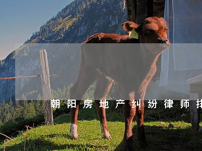 朝阳房地产纠纷律师排名 朝阳房地产纠纷律师排名