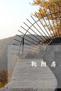 朝阳房屋纠纷律师在线咨询 朝阳房屋纠纷律师在线咨询
