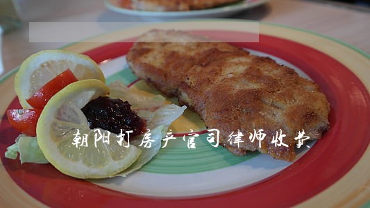 朝阳打房产官司律师收费 朝阳打房产官司律师收费