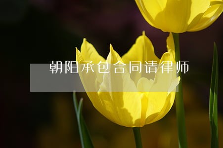 朝阳承包合同请律师 朝阳承包合同请律师