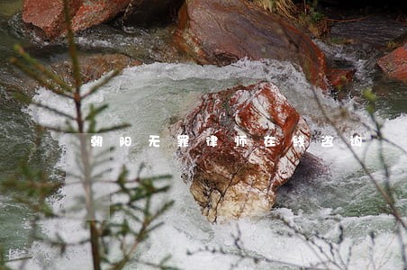 朝阳无罪律师在线咨询 朝阳无罪律师在线咨询