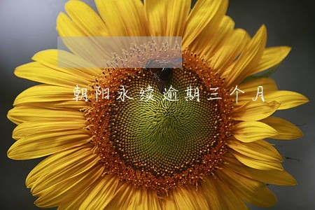 朝阳永续逾期三个月 朝阳永续逾期三个月