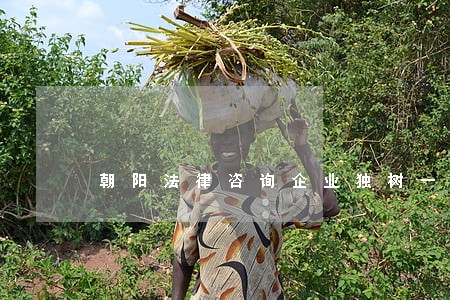 朝阳法律咨询企业独树一帜 朝阳法律咨询企业独树一帜