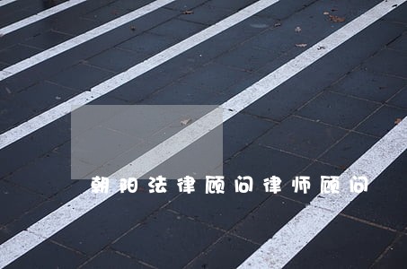 朝阳法律顾问律师顾问 朝阳法律顾问律师顾问
