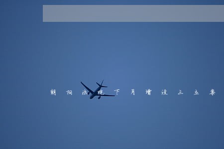 朝阳法院下月增设三立案点 朝阳法院下月增设三立案点
