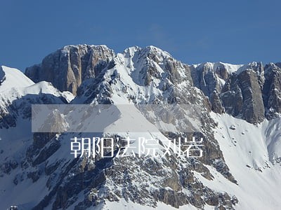 朝阳法院刘岩 朝阳法院刘岩