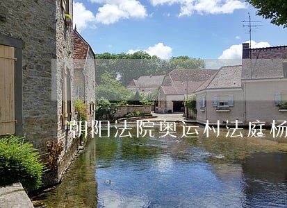 朝阳法院奥运村法庭杨琨 朝阳法院奥运村法庭杨琨
