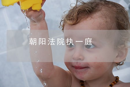 朝阳法院执一庭 朝阳法院执一庭