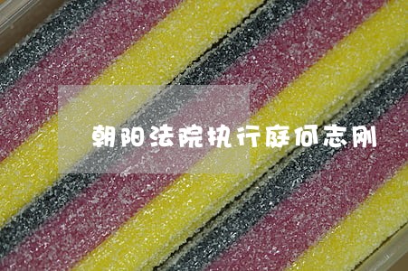 朝阳法院执行庭何志刚 朝阳法院执行庭何志刚
