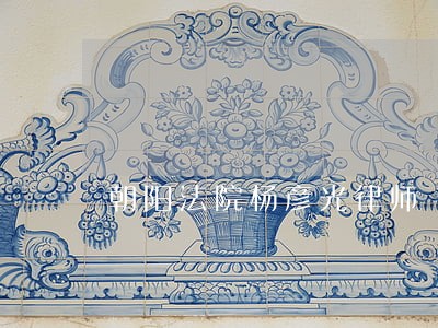朝阳法院杨彦光律师 朝阳法院杨彦光律师