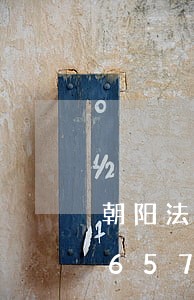 朝阳法院查询网电话号码/2023022657575