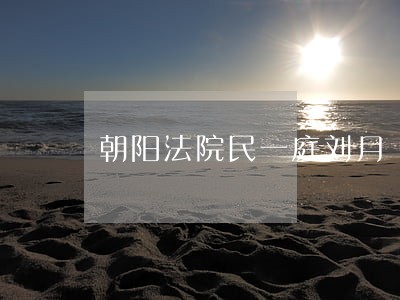 朝阳法院民一庭刘月 朝阳法院民一庭刘月