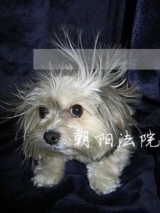 朝阳法院法官王兆同 朝阳法院法官王兆同