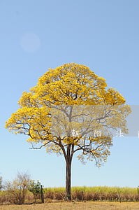 朝阳法院王四营法庭庭长 朝阳法院王四营法庭庭长