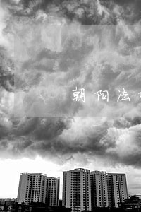 朝阳法院王阳 朝阳法院王阳